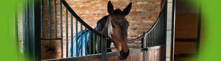 stalldecken kategorieeinstiegsbanner 2876x800